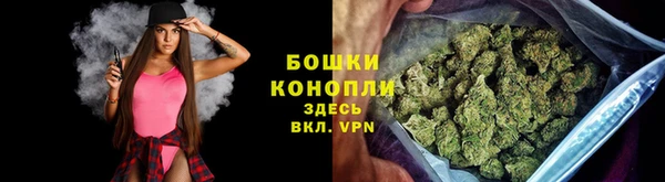 индика Россошь